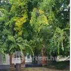 Bobajka Étterem Tarcal - Egyéb