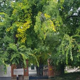 Bobajka Étterem Tarcal - Egyéb