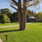 Bobo Restaurant - Haris Park Budapest - Külső kép