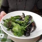 Bocelli Pizzeria Italia Budapest - Étel/ital