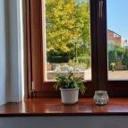 Zenit Balaton Étterem & Bar Vonyarcvashegy - Belső