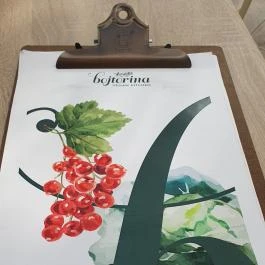 Bojtorina Vegan Kitchen Sopron - Egyéb