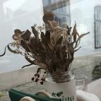 Bojtorina Vegan Kitchen Sopron - Egyéb