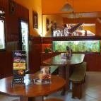 Böllér Söröző Várpalota - Egyéb