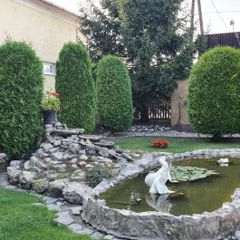 Böllér Söröző, Várpalota - Egyéb