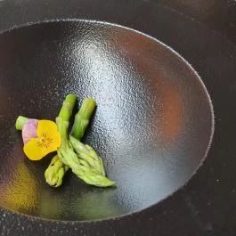 Bombay Budapest, Budapest - Egyéb