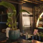 Bombay Budapest Budapest - Egyéb