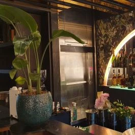 Bombay Budapest, Budapest - Egyéb