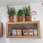 Bomboloni Budapest - Belső