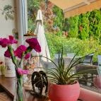 Bonne Chance Hotel étterme Bázakerettye - Egyéb