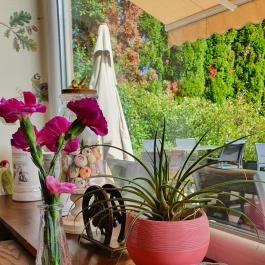 Bonne Chance Hotel étterme Bázakerettye - Egyéb