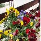 Bor Cukrászda & Kávézó Dabas - Egyéb