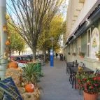 Bor és Garnéla Kecskemét - Egyéb