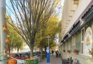 Bor és Garnéla Kecskemét