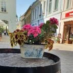 Borbár Székesfehérvár - Külső kép