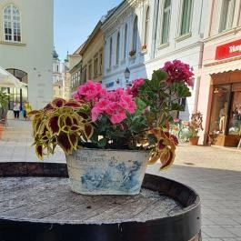 Borbár, Székesfehérvár - Külső kép