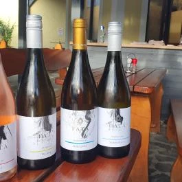 Borbarátok Vendéglő Badacsonytomaj - Étel/ital