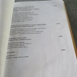 Borbarátok Vendéglő Badacsonytomaj - Egyéb