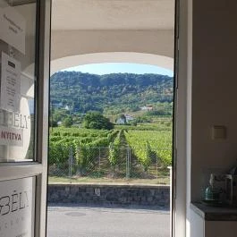 Borbély Borterasz Badacsony - Egyéb