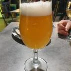 Borháló Borbár Budapest - Egyéb