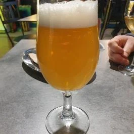 Borháló Borbár, Budapest - Egyéb