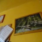 Borharapó Mórahalom - Belső