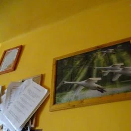 Borharapó, Mórahalom - Belső