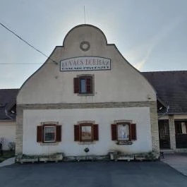 Borház Panzió, Hajós - Egyéb