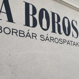A Boros Borbár, Sárospatak - Egyéb