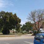 Borostyán Étterem Mezőtúr - Egyéb