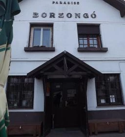 Borzongó