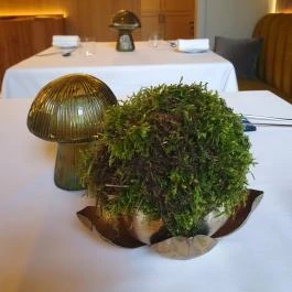 Botanica Étterem Dánszentmiklós - Egyéb