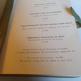 Botanica Étterem Dánszentmiklós - Egyéb