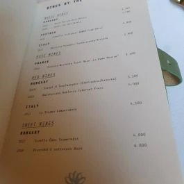 Botanica Étterem Dánszentmiklós - Egyéb