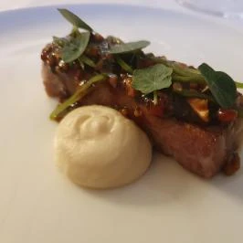 Botanica Étterem Dánszentmiklós - Egyéb