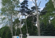 Botanica hotel Dánszentmiklós