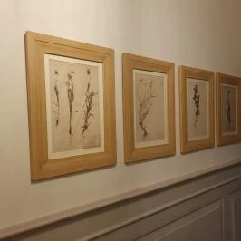 Botanica hotel Dánszentmiklós - Egyéb