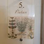 Botanica hotel Dánszentmiklós - Egyéb