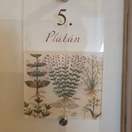 Botanica hotel Dánszentmiklós - Egyéb