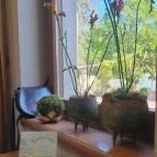 Botanica hotel Dánszentmiklós - Egyéb