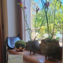 Botanica hotel Dánszentmiklós - Egyéb