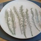 Botanica hotel Dánszentmiklós - Egyéb