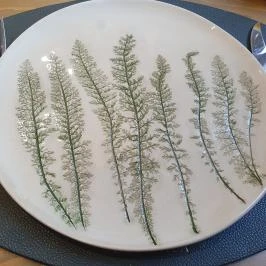 Botanica hotel Dánszentmiklós - Egyéb