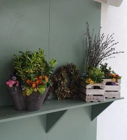 Buborék Csopak - Bed, Bike, Bread