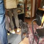 Budai 3 Kávézó Budapest - Belső