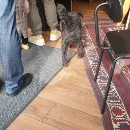 Budai 3 Kávézó, Budapest - Belső