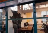 Bull's Eye - Belvárosi Piac Budapest