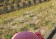 Bundiner Cukrászda Fót