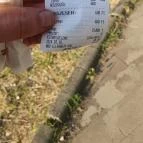 Bundiner Cukrászda Fót - Egyéb