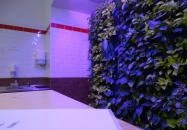 Butifarring Budapest Budapest